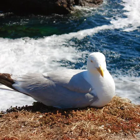 Domitys Les Salines Cherbourg-en-Cotentin